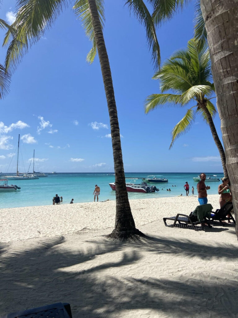 Saona Island Palm Trees Beach View