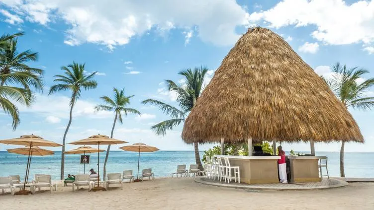 Beach bar with a thatched roof surrounded by palm trees and lounge chairs on a sandy shore